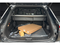 2026 Nissan Rogue Plug-In Hybrid Platinum